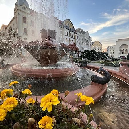 Downtown Apartment Timisoara Exterior photo
