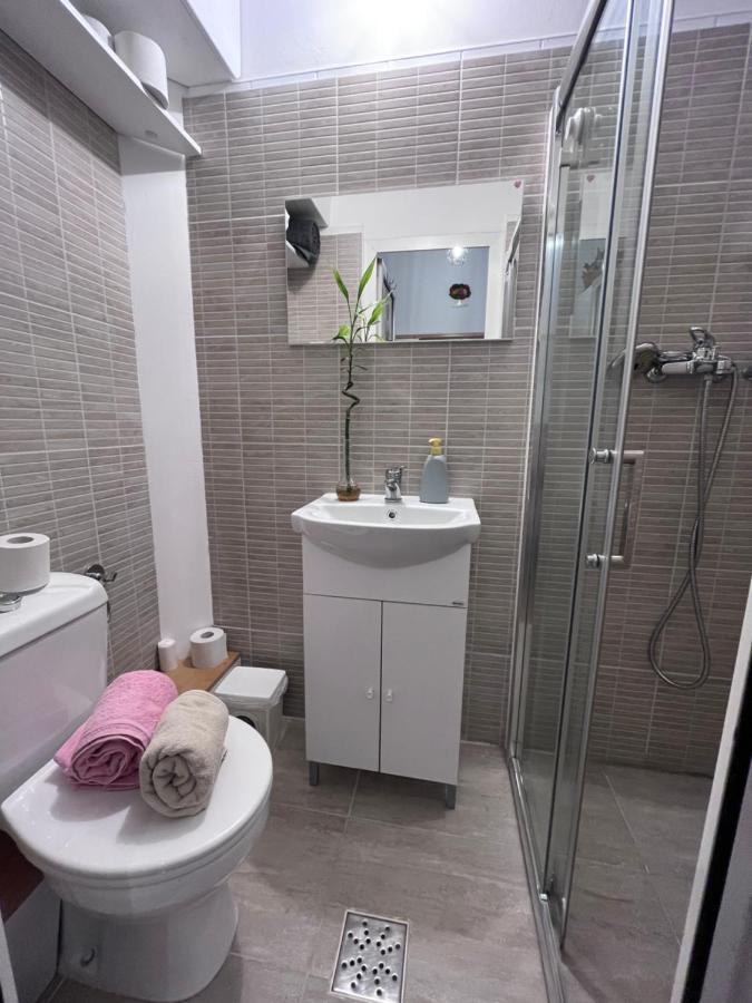 Downtown Apartment Timisoara Exterior photo