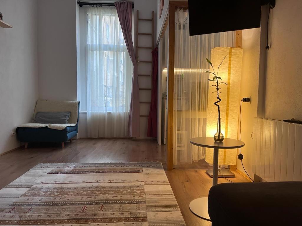 Downtown Apartment Timisoara Exterior photo