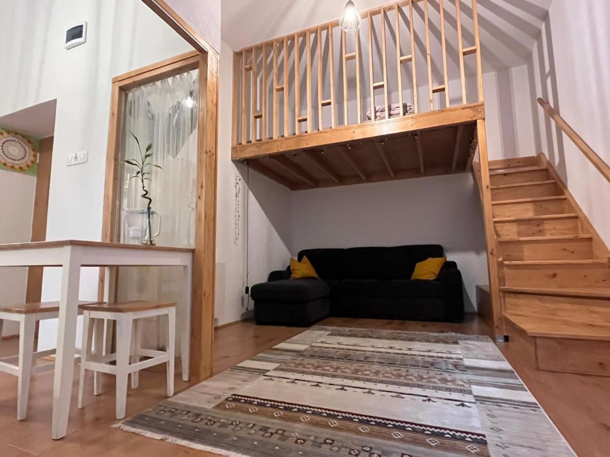 Downtown Apartment Timisoara Exterior photo